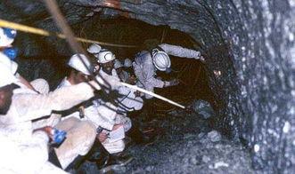 我带全村挖出全球最大金矿,创造全球最大金矿奇迹