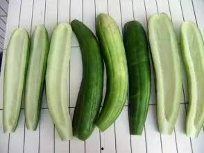 娱乐吃瓜酱江浙沪